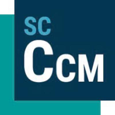 Simcenter STAR-CCM+